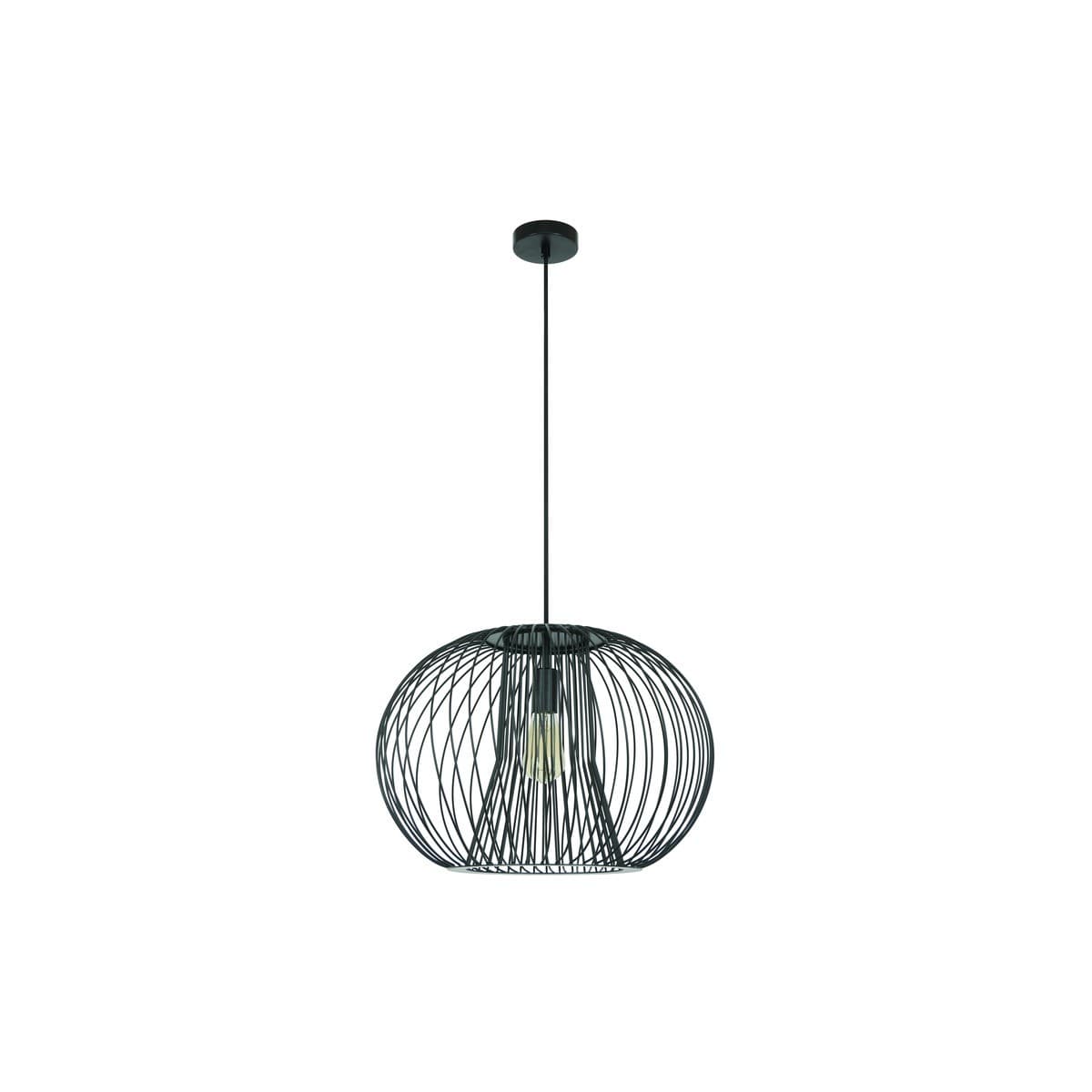Pheonix 1 Light Pendant in Black