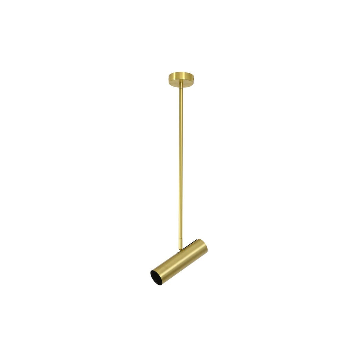 Nevada 1 Light Adjustable Spotlight Pendant in Brass-img-1