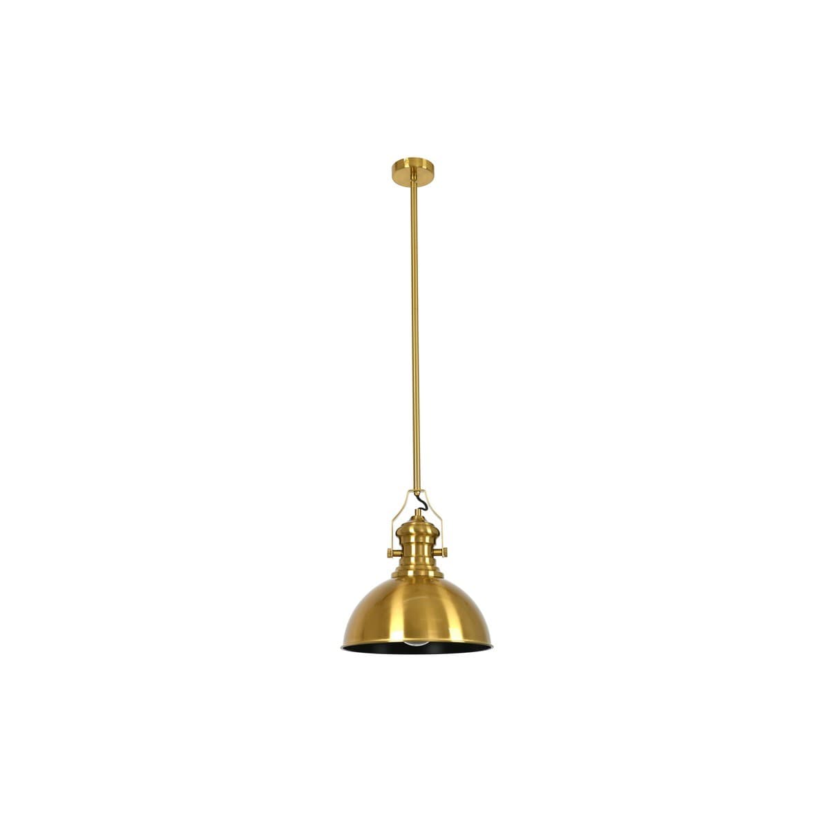Alfred 1 Light Pendant in Aged Brass