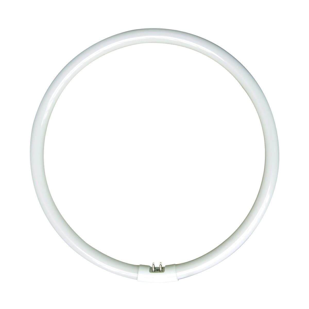 Envirolux 55W T5 Circular Fluorescent in Cool White-img-1
