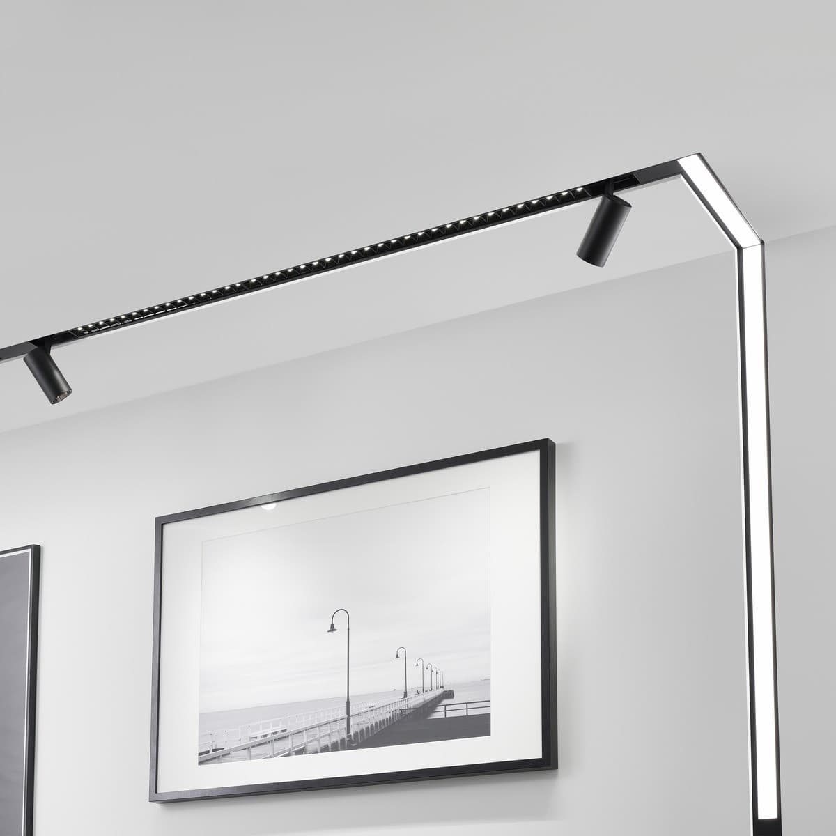 MFL Induction Medium Cylinder Track Light in Black