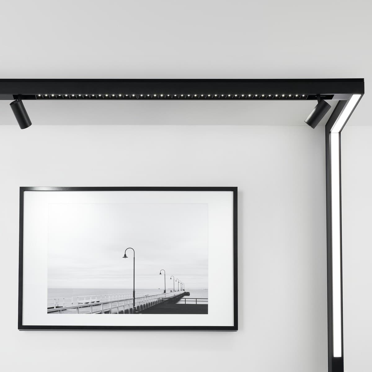 MFL Induction Medium Cylinder Track Light in Black