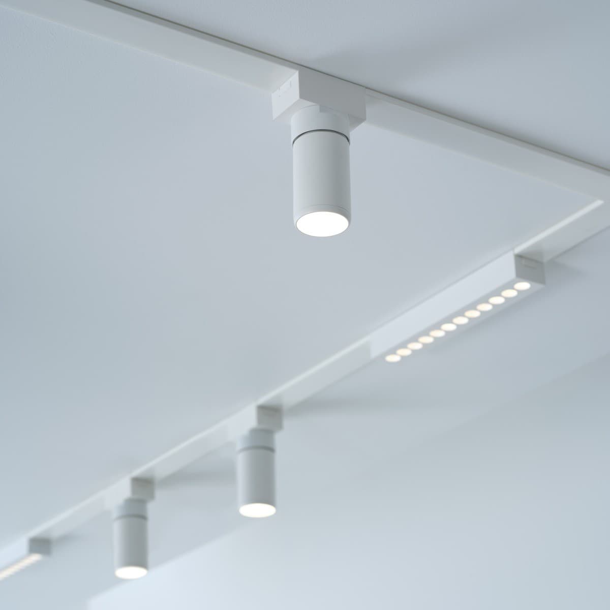 MFL Rail 48V LED Colour Switching Adjustable Spotlight for Slimline Track in White