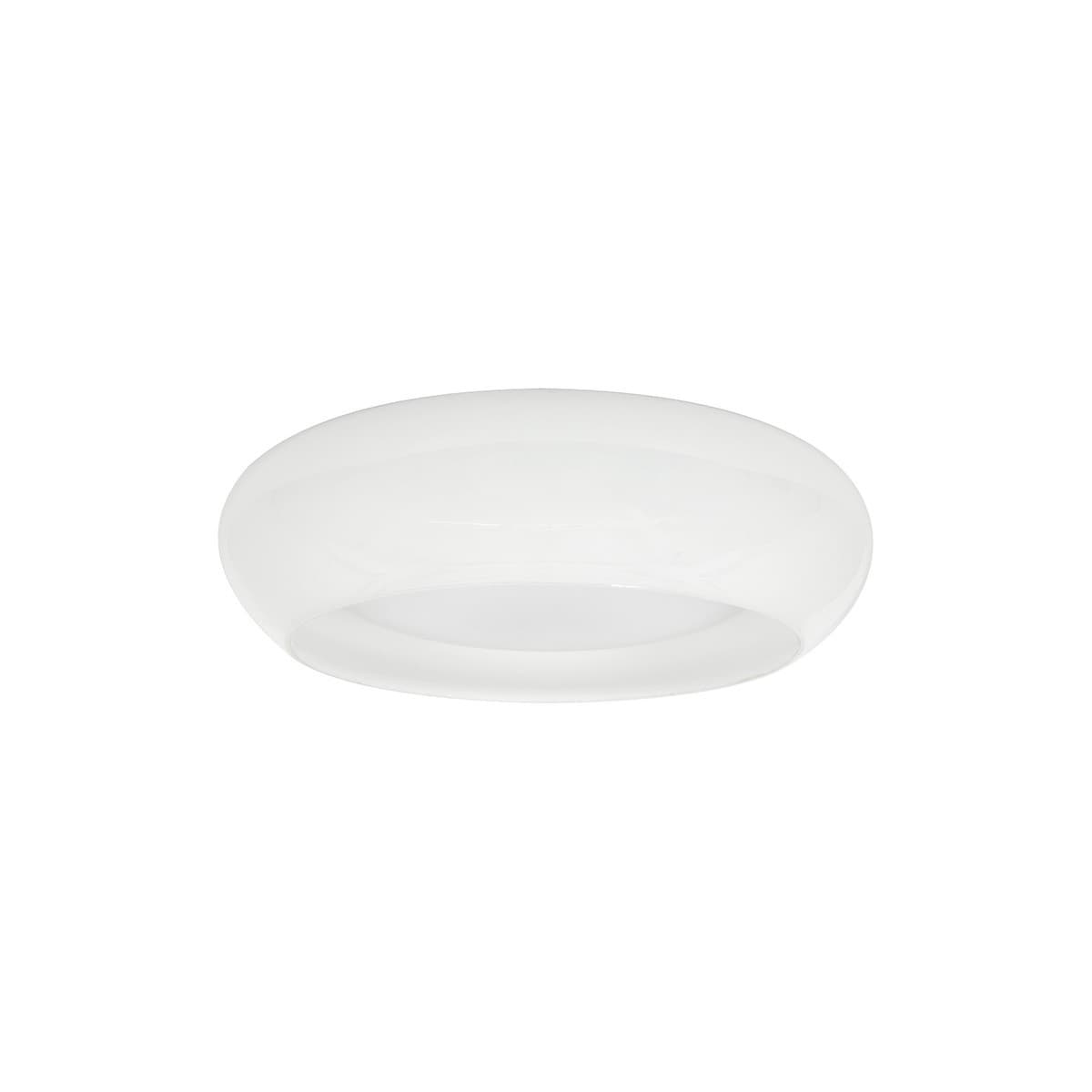 Loch 1 Light Flush Mount in Opal Glass-img-1