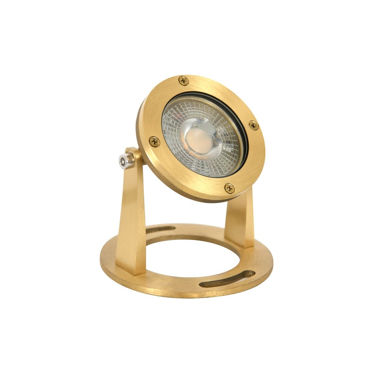 Sentinel 12/24V LED Pond Light in Brass-img-1