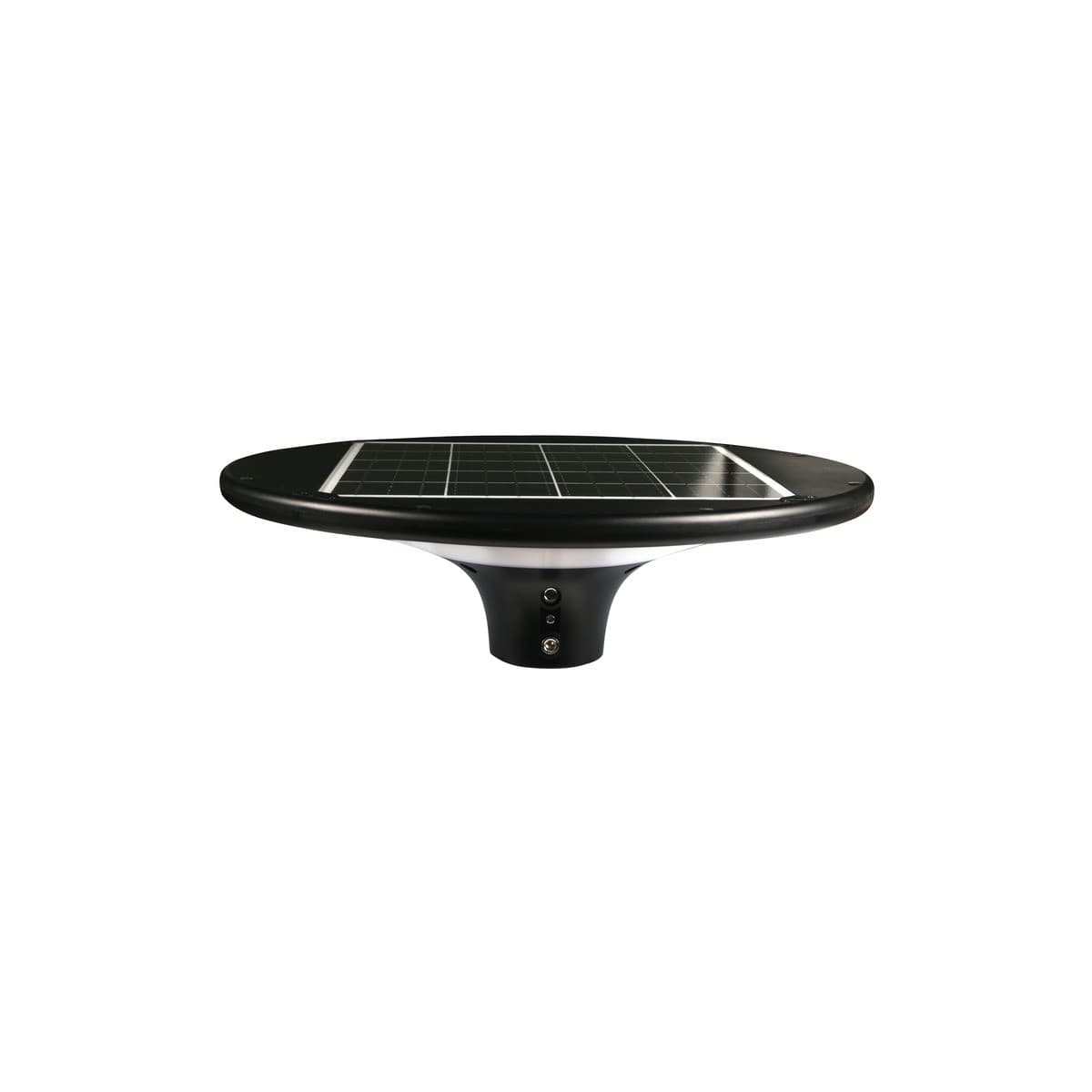 Raya Large Solar LED Light Head Only in Black-img-1