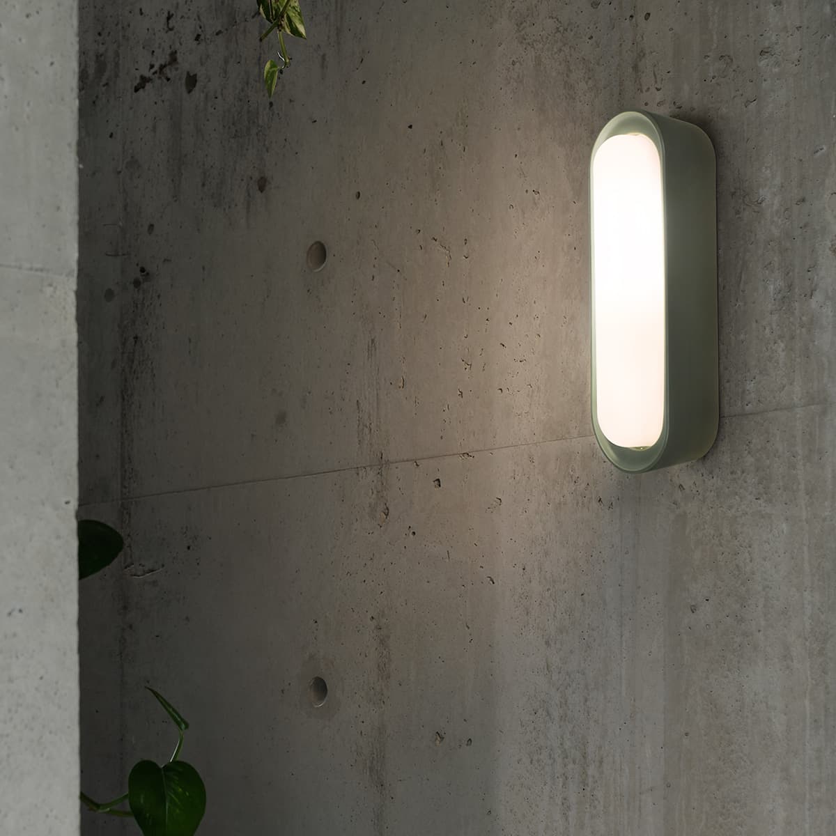 Flinders Crevice S14d Exterior Wall Sconce in Green-img-2