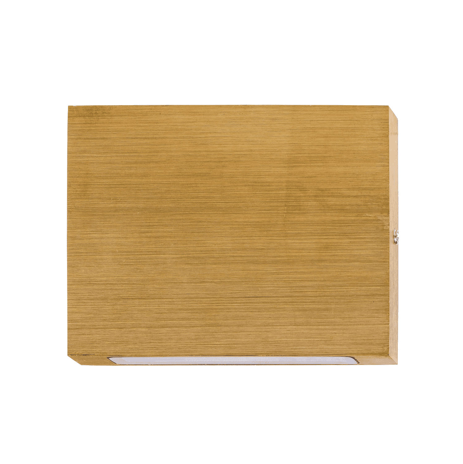 OneWay LED Wall Light in Solid Brass