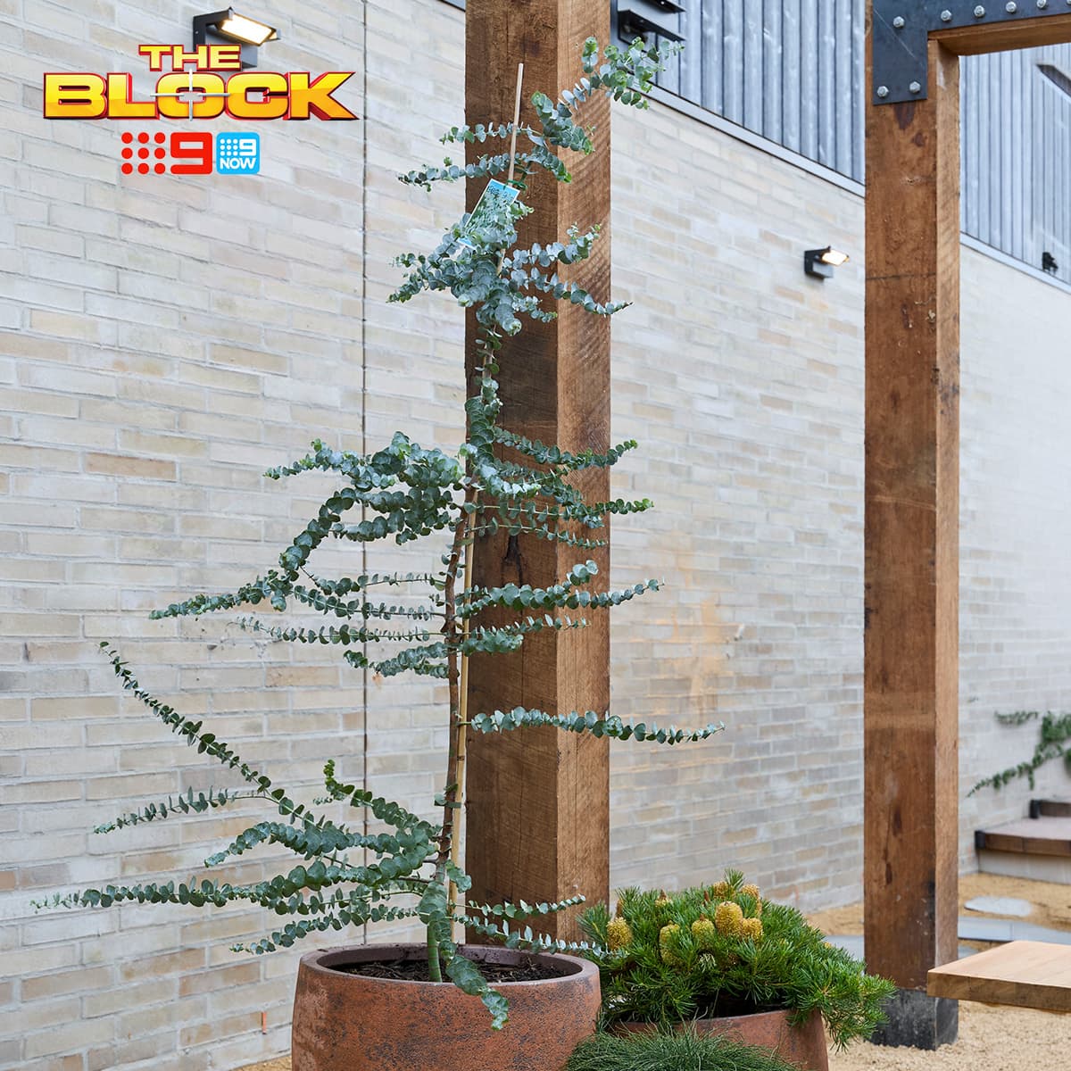Base LED Exterior Flood Light in Black-img-4