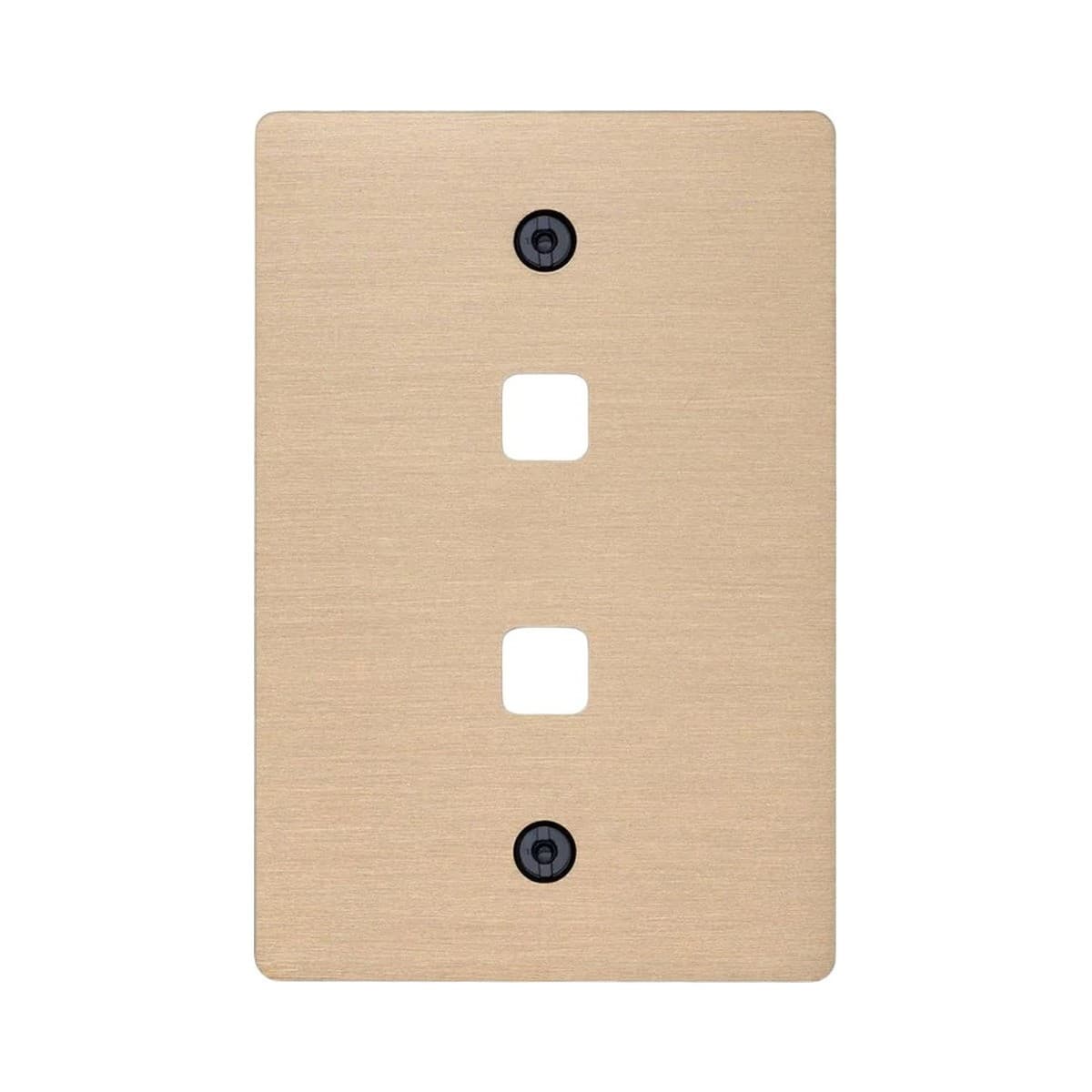Buster + Punch 2 Gang Metal Grid Plate Only in Brass-img-1