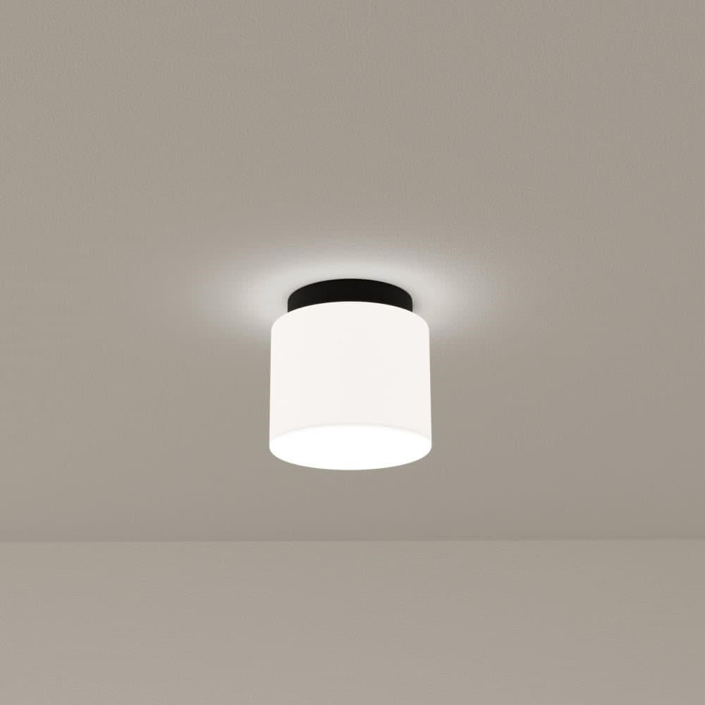 Sparky Ceiling/Wall Light in Matte Black