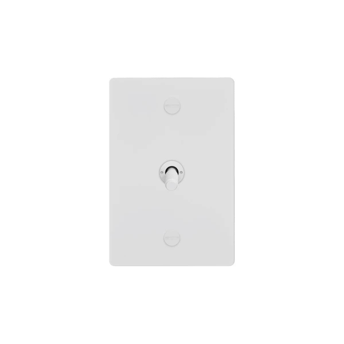 Buster + Punch 1 Gang Complete Metal Switch in White-img-1