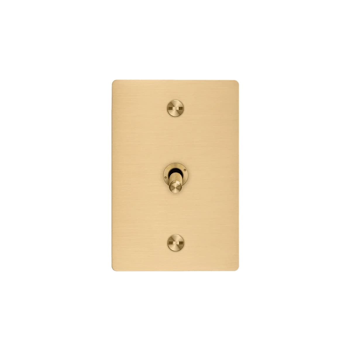 Buster + Punch 1 Gang Complete Metal Switch in Brass-img-1