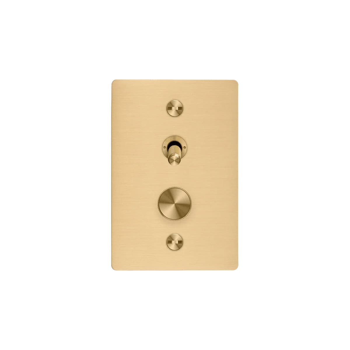 Buster + Punch 2 Gang Complete Metal Switch and Dimmer in Brass