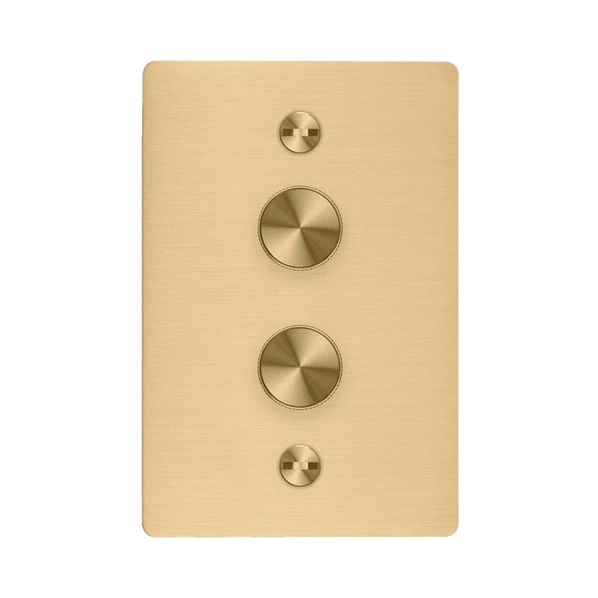 Buster + Punch 2 Gang Complete Metal Dimmer in Brass