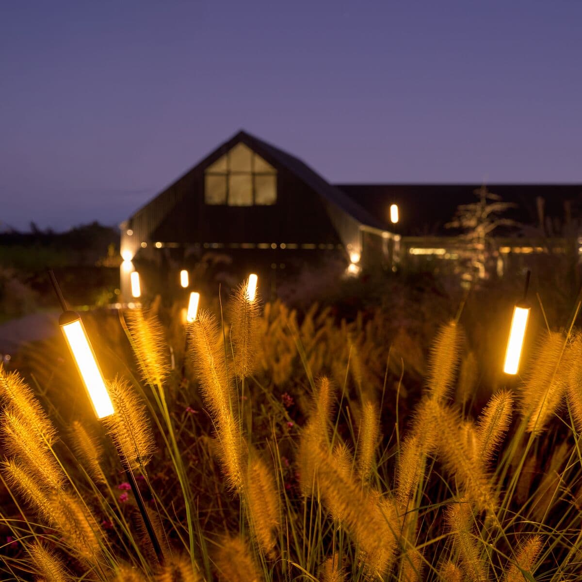 Bulrush Exterior Bollard 12V 24V | Beacon Lighting